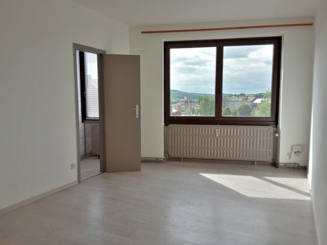 Appartement rénové, 1ch à Namur (Salzinnes)