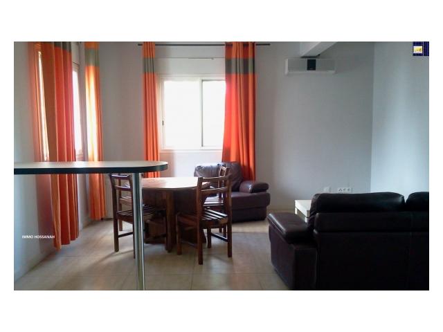 APPARTEMENT T3 MEUBLE DE HAUT STANDING A LOUER A IVANDRY Réf:LAM301035951