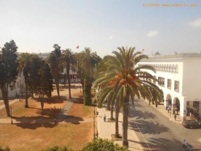Appartement usage bureau en location à Rabat Centre Ville