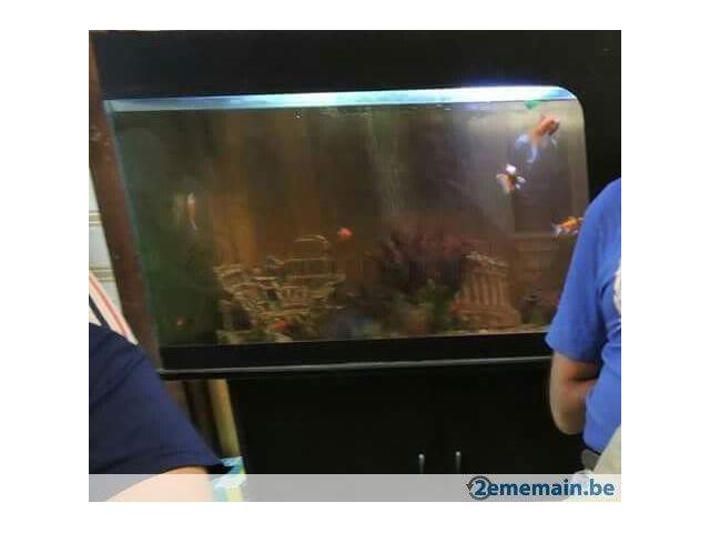 Aquarium 250 l, meuble,