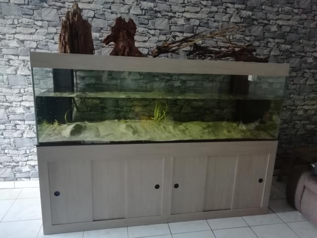 Aquarium complet 1040l