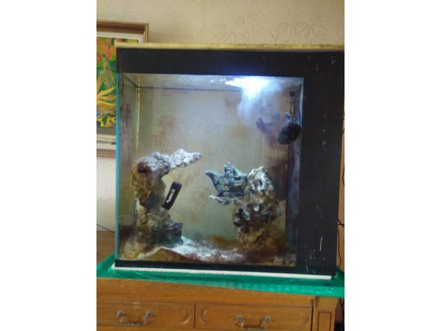 Photo aquarium d'eau de mer image 1/3