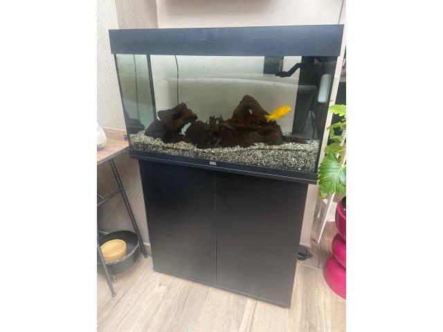 Aquarium juwel 140l, pompe, chauffage, lampe, decor, meuble