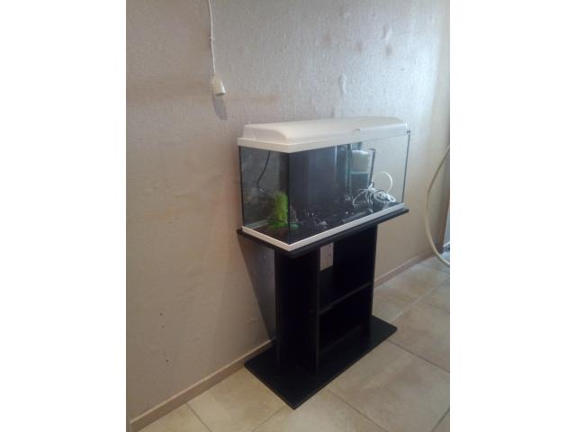 aquarium + meuble aquadream 100 - 100x30x45cm led blanc
