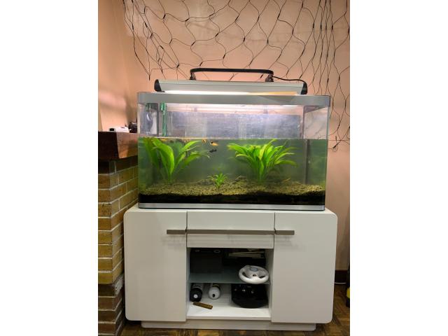 aquarium + un meuble avec poisson