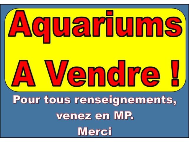 Aquariums et/ou Matériel