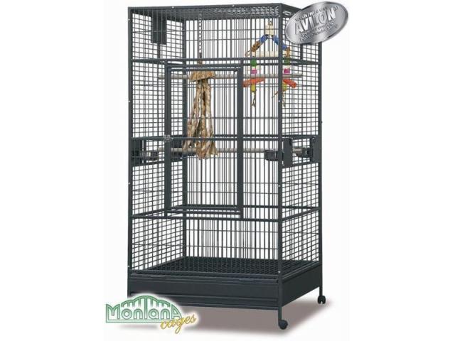 Arkansas 1- perroquet cage anthracite