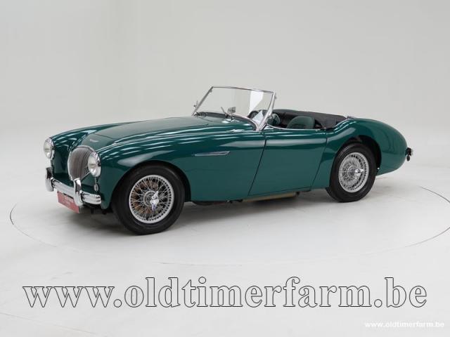 Austin Healey 100/4 BN1 '54 CH1610