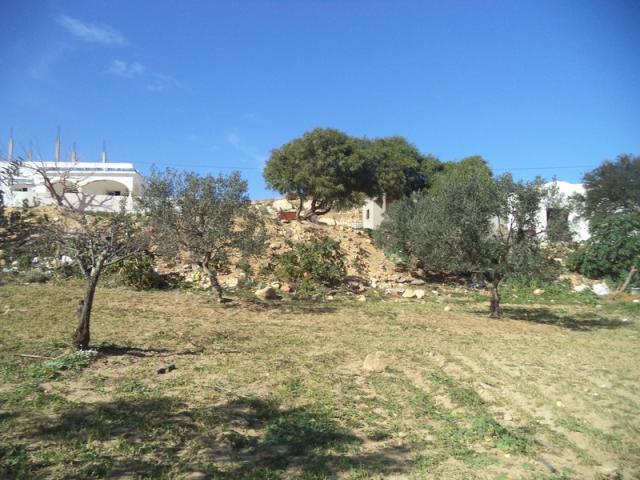 av terrain 1030m² a hammamet monchar