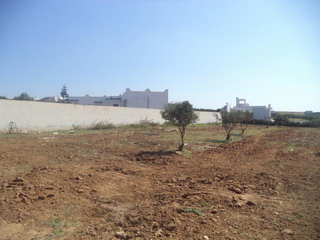 av terrain de 500m a hammamet sud