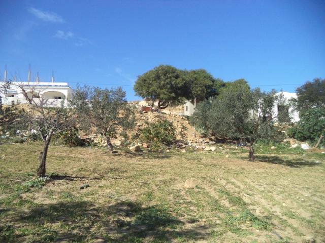 Photo Av un terrain de 1030m²  hammamet sud image 1/3