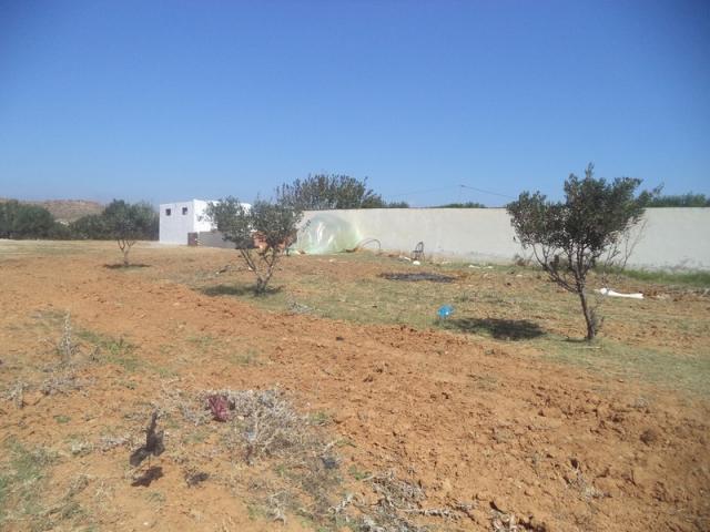 av un terrain de 500m² situé a monchar hammamet sud