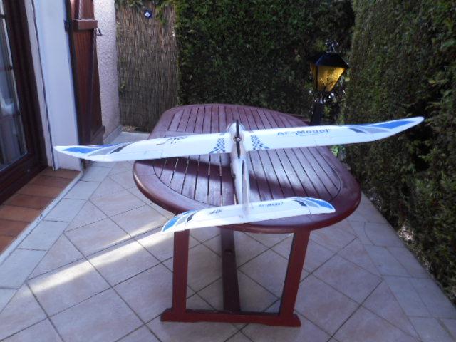 Avion planeur électrique