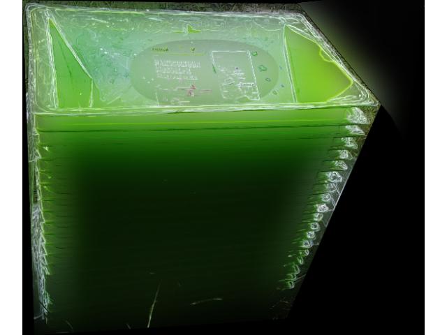 Bac vert rectangulaire en plastique.