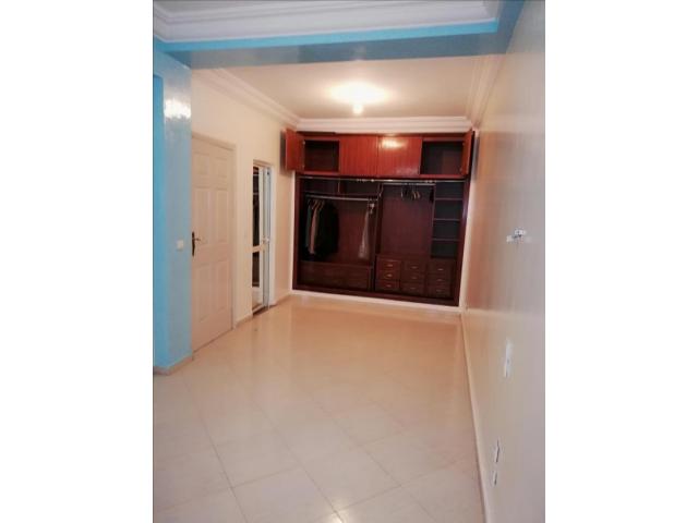 Bel appartement en location