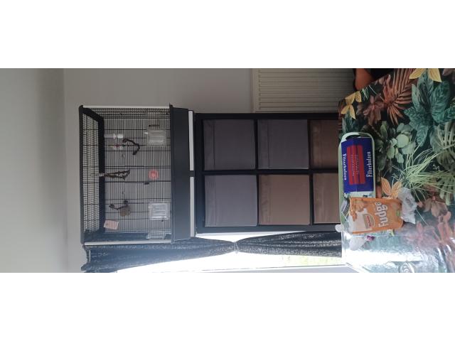 Belle cage