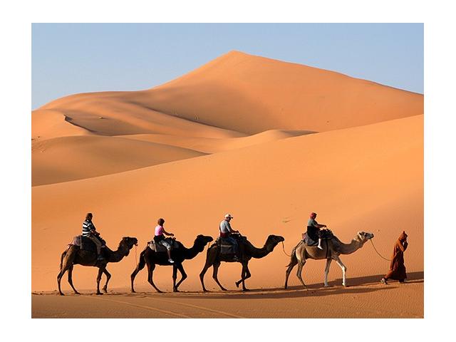 Belle randonnée au désert du Maroc avec des dromadaires