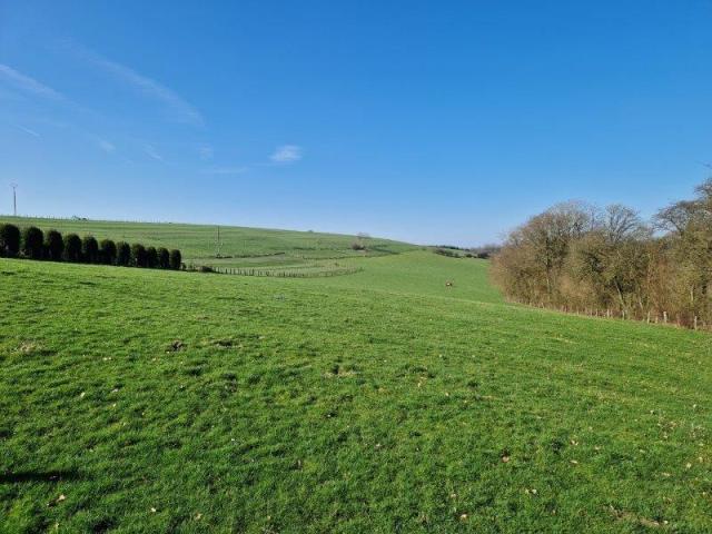 Bertrix - Auby: ensemble de terrains de plus de 4 hectare.