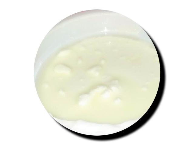 Bio fromage blanc au lait de brebis.