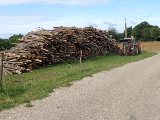 bois  de  chauffage  en 2 mètres