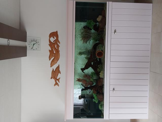 bonjour grand aquarium a vendre de 840 litres avec meuble