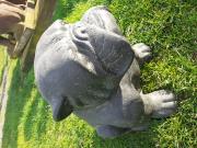 Annonce BOULEDOGUE ANGLAIS EN PIERRE PATINEE ( hauteur 40cm)