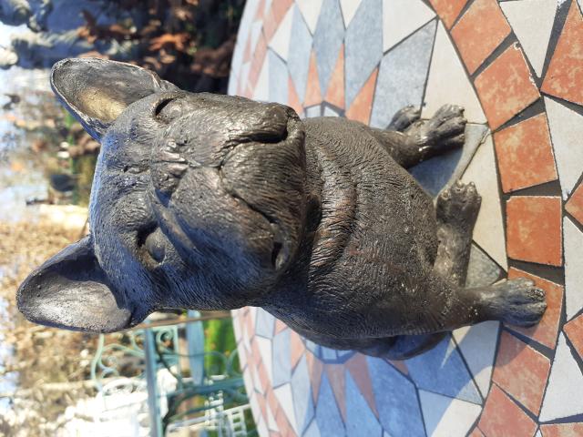 Photo BOULEDOGUE FRANCAIS EN BRONZE image 1/6
