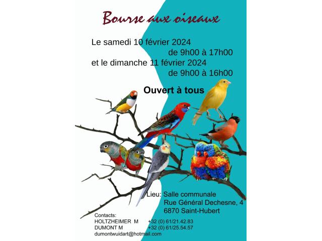 Photo Bourse aux oiseaux image 1/1