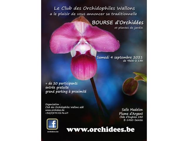 Photo Bourse d'orchidées à Saintes (BE) image 1/1