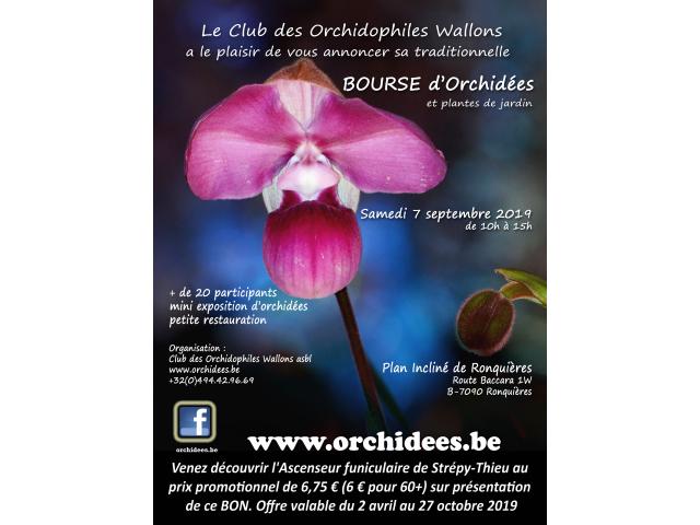Bourse d'orchidées et de plantes de jardin