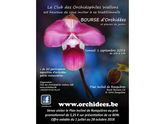 Bourse d'orchidées et de plantes de jardin