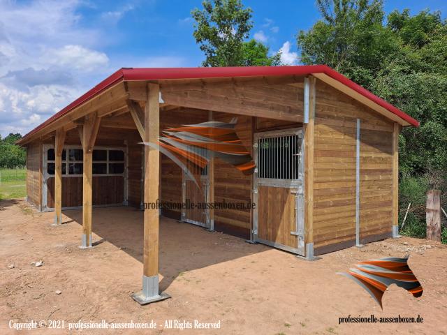 Box Extérieur & Construction D'Écurie, Box Pour Chevaux - Abri Chevaux