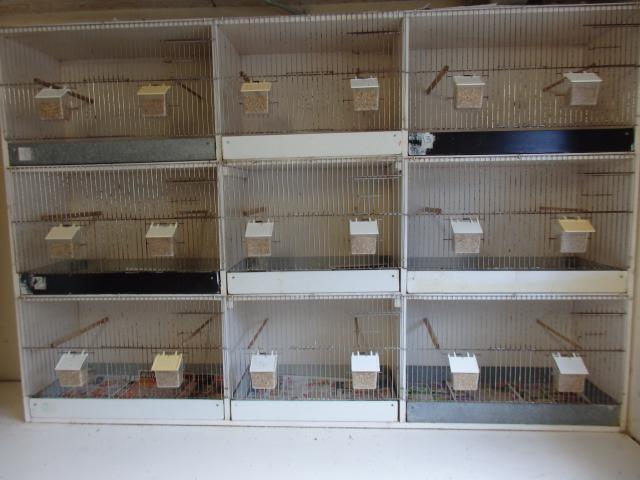boxes pour elevage tout typres oiseaux