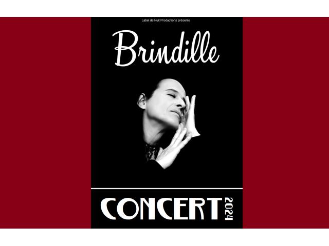 Photo Brindille Concert 2024 image 1/1