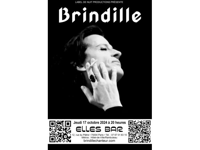 Brindille - Concert au Elles Bar