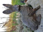 Annonce BRONZE ANIMALIER (le lièvre assis)