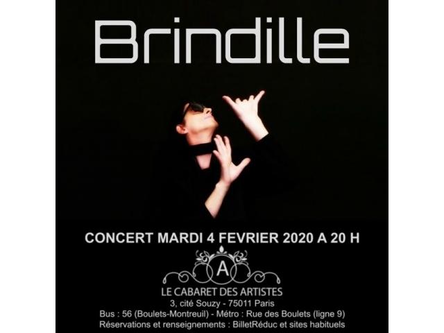 Cabaret des Artistes (Artishow) - BRINDILLE CONCERT