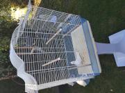 Annonce cage