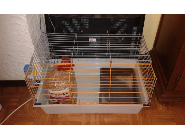 Photo cage a lapin image 1/4