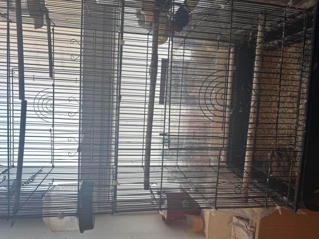 Cage à oiseaux