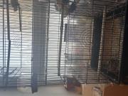 Annonce Cage à oiseaux