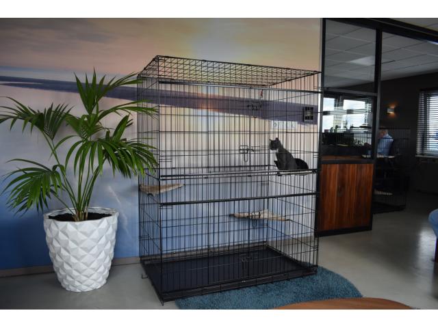 Photo Cage chat 131 cm cage chaton cage chat extérieur cage chat intérieur chatière volière chat chatterie image 1/5