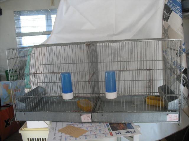 cage d'élevage