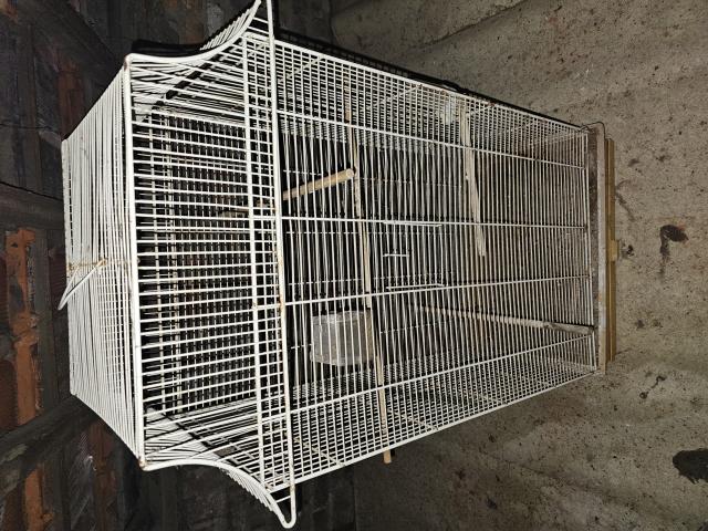 Cage d elevage