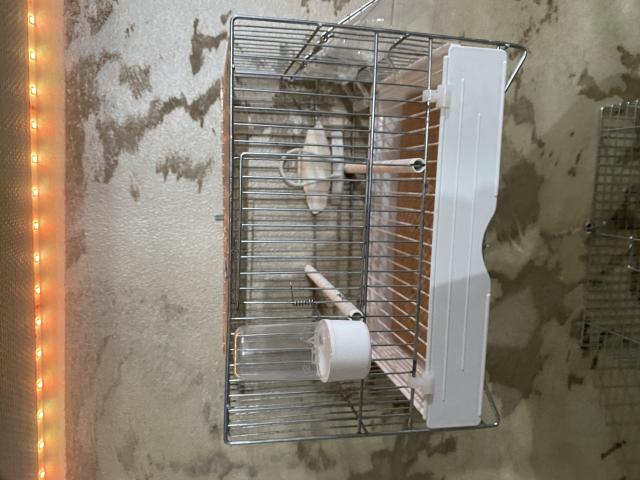 Cage de chant comme neuf
