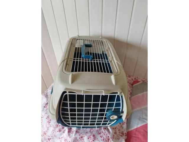Cage de transport chat ou petit chien