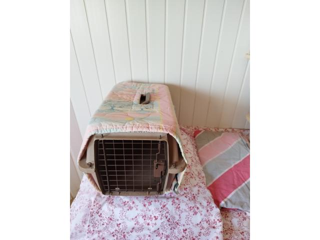 Cage de transport chat ou petit chien marque Kennel