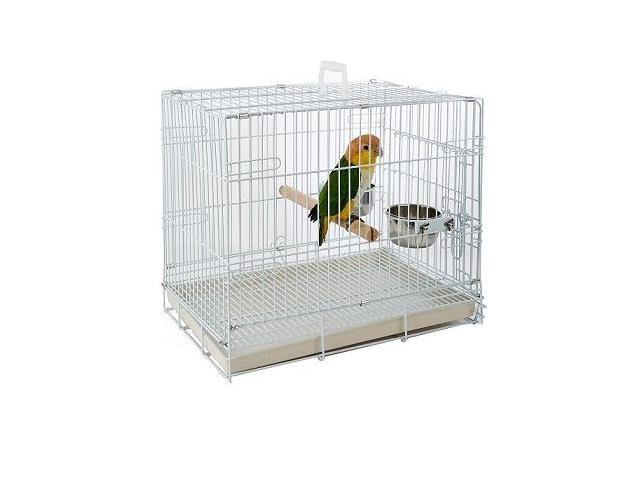 Photo Cage de transport perroquet cage transport perruche cage oiseau image 1/1