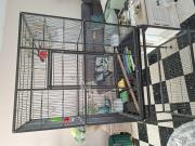 Annonce Cage oiseau