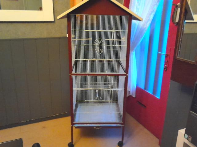 cage perroquet